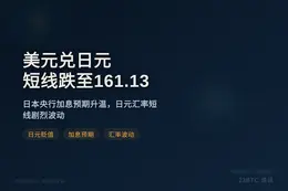 美元兑日元短线跌至161.13