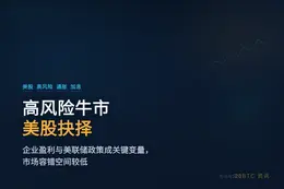 高风险牛市下的美股抉择