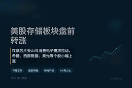 美股存储板块盘前转涨