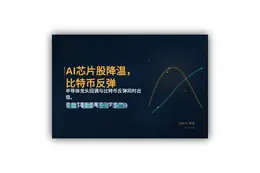 AI芯片股降温，比特币反弹