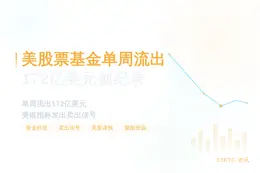 美股票基金单周流出172亿美元创纪录