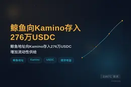 鲸鱼向Kamino存入276万USDC