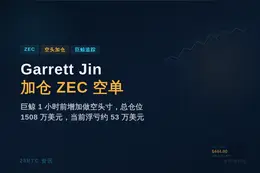 ZEC 空头 Garrett Jin 1 小时前加仓