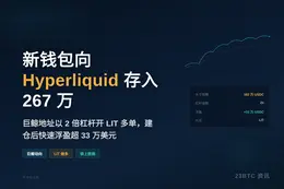 新钱包向Hyperliquid存267万USDC开LIT多单