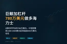 巨鲸加杠杆 780 万美元做多海力士