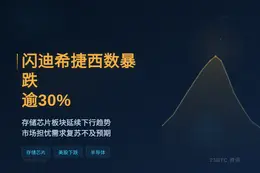闪迪希捷西数暴跌逾30%