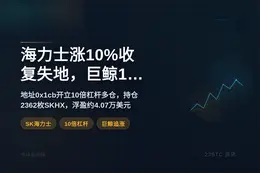 海力士涨10%收复失地，巨鲸10倍杠杆追涨