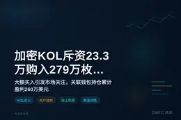 加密KOL斥资23.3万购入279万枚CASHCAT