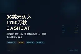 86美元买1750万枚CASHCAT，回报率19061倍