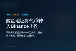 鲸鱼地址将「币安人生」转入Binance止盈