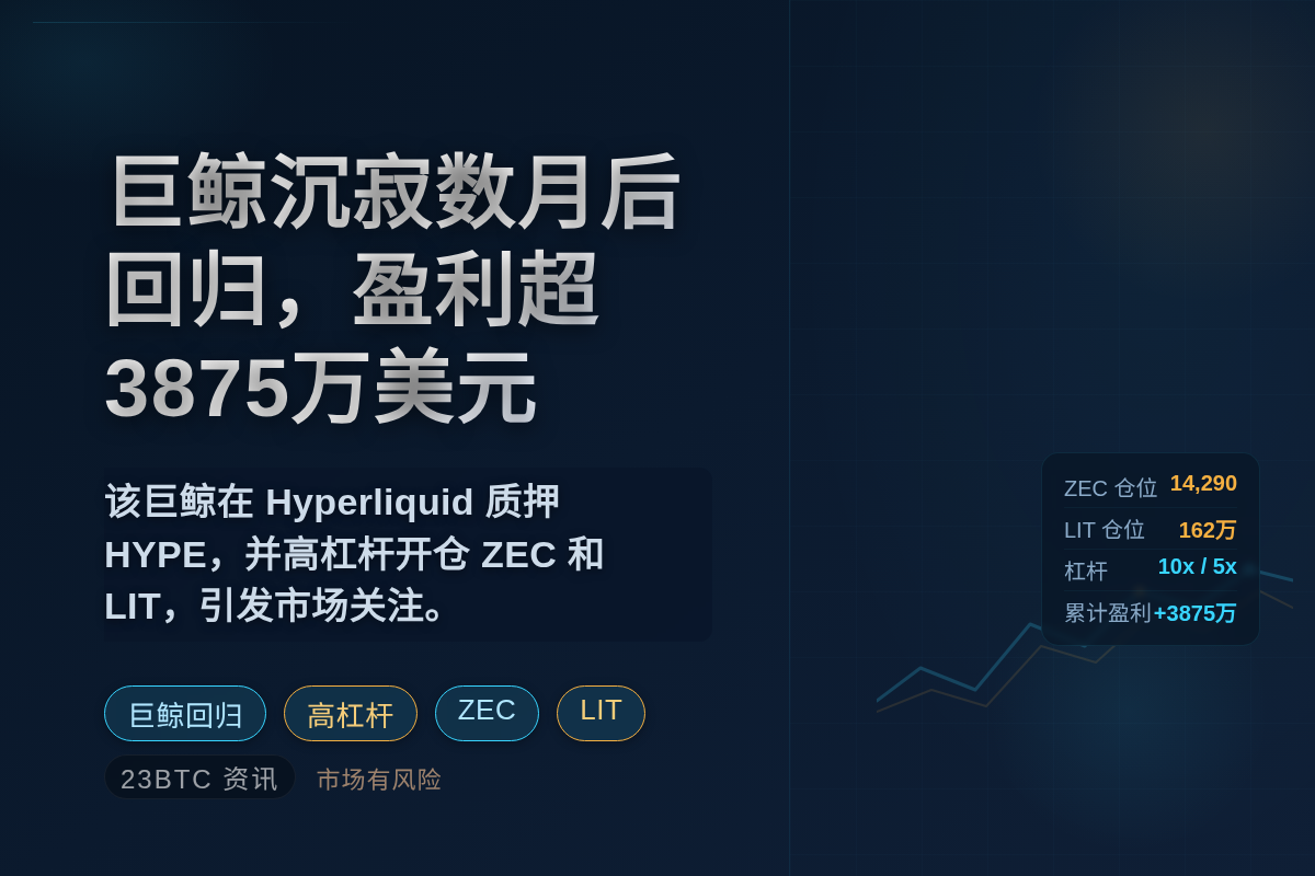 巨鲸沉寂数月后回归，盈利超3875万美元