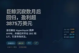 巨鲸沉寂数月后回归，盈利超3875万美元