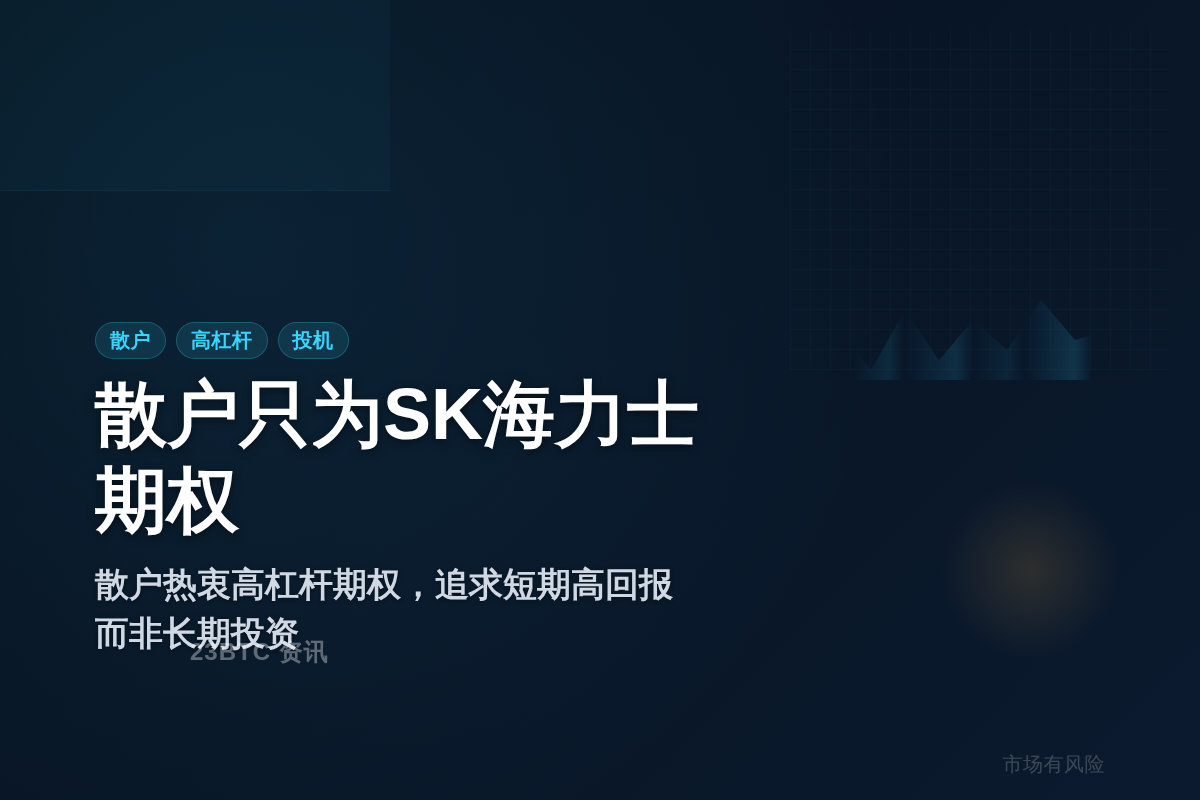 散户只为SK海力士期权插图1 散户只为SK海力士期权