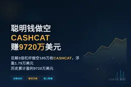 聪明钱做空CASHCAT赚9720万美元