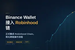 Binance Wallet 接入 Robinhood 链