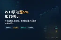 WTI原油涨5%报75美元