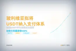 玻利维亚拟将USDT纳入支付体系