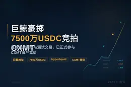 巨鲸豪掷7500万USDC竞拍CXMT