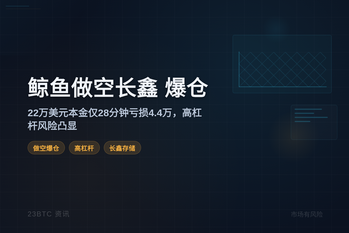 鲸鱼做空长鑫，爆仓！