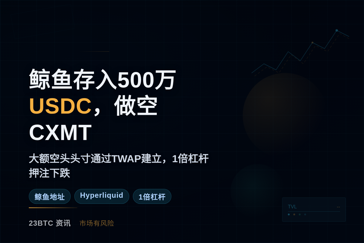 鲸鱼存入500万USDC,做空CXMT插图1 鲸鱼存入500万USDC,做空CXMT