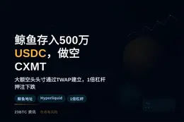 鲸鱼存入500万USDC，做空CXMT