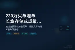 230万买单埋单，长鑫存储或成最大多头