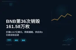 BNB第36次销毁：161.58万枚，价值9.137亿美元
