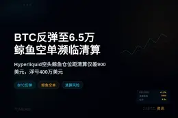 BTC反弹至6.5万，鲸鱼空单濒临清算