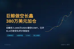 巨鲸做空长鑫，380万美元计划加仓