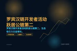 罗宾汉链开发者活动跃居公链第二