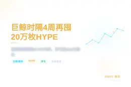 巨鲸时隔4周再囤20万枚HYPE