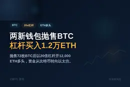 两新钱包抛72枚BTC，杠杆买入1.2万ETH