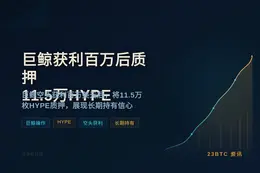 巨鲸获利百万后质押11.5万HYPE