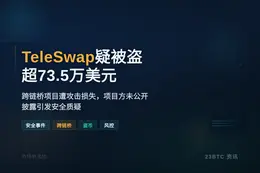 TeleSwap疑被盗超73.5万美元