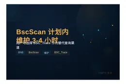 BscScan 7月22日维护3-4小时
