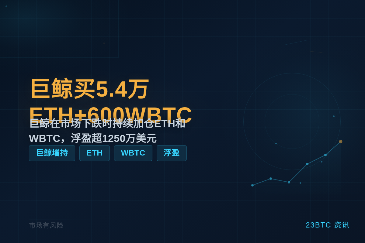 鲸6月底买5.4万ETH+600WBTC插图1 鲸6月底买5.4万ETH+600WBTC