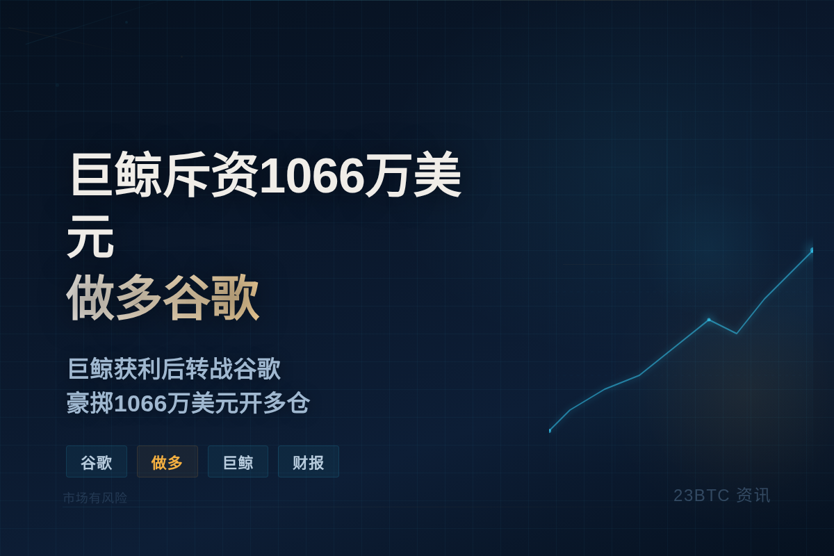巨鲸斥资1066万美元做多谷歌