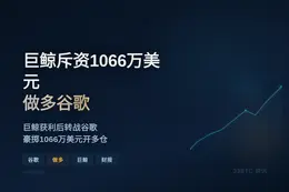 巨鲸斥资1066万美元做多谷歌