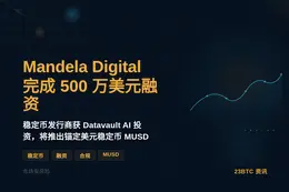 Mandela Digital完成500万美元融资，Data