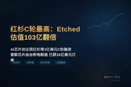 红杉C轮最高：Etched估值103亿翻倍