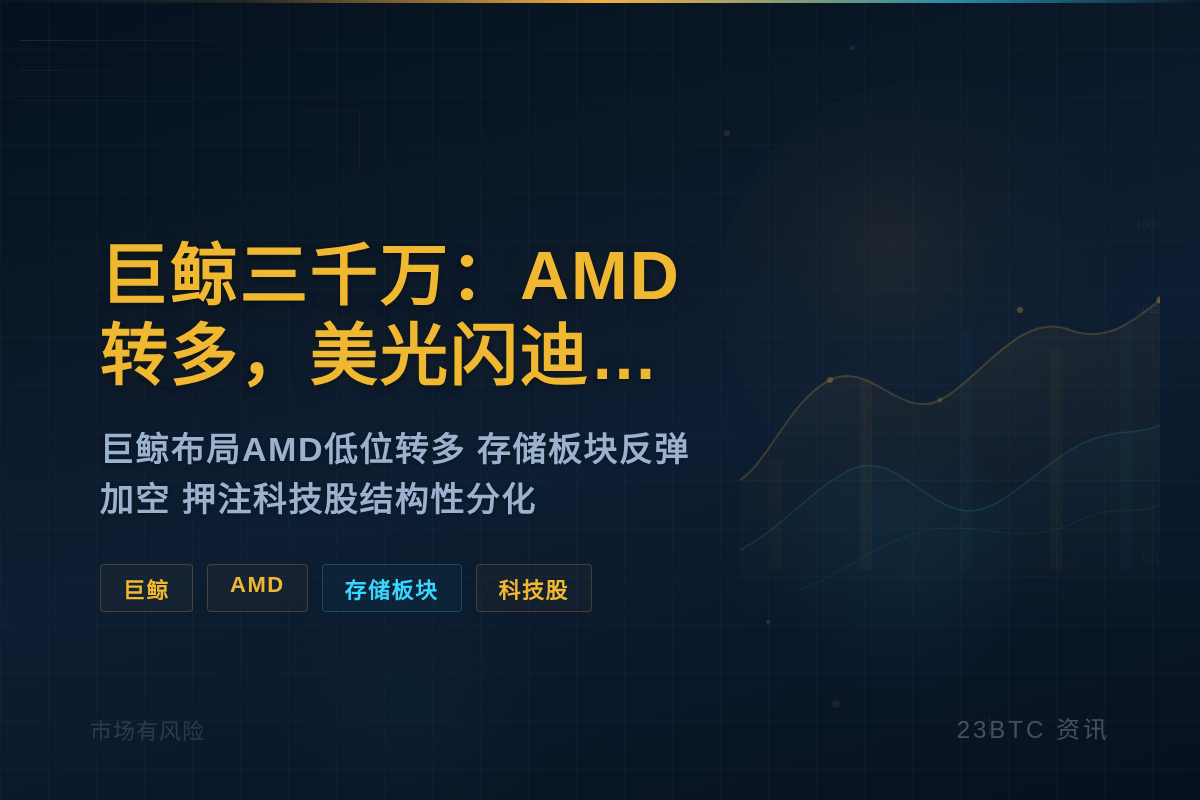 巨鲸三千万：AMD转多，美光闪迪布空
