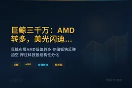 巨鲸三千万：AMD转多，美光闪迪布空