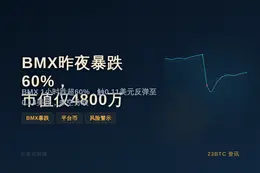BMX昨夜暴跌60%，市值仅4800万