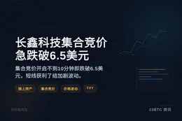 长鑫科技集合竞价急跌破6.5美元
