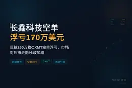 长鑫科技空单浮亏170万美元