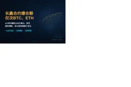 长鑫合约4h爆仓额仅次BTC、ETH