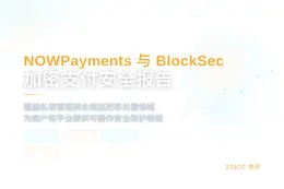 NOWPayments与BlockSec发布加密支付安全报告