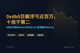 0xdb0巨鲸浮亏近百万，十倍于第二