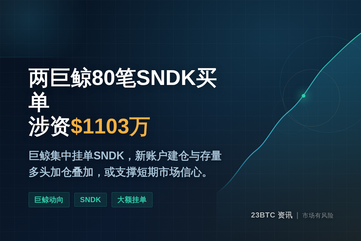 两巨鲸80笔SNDK买单涉资$1103万插图1 两巨鲸80笔SNDK买单涉资$1103万