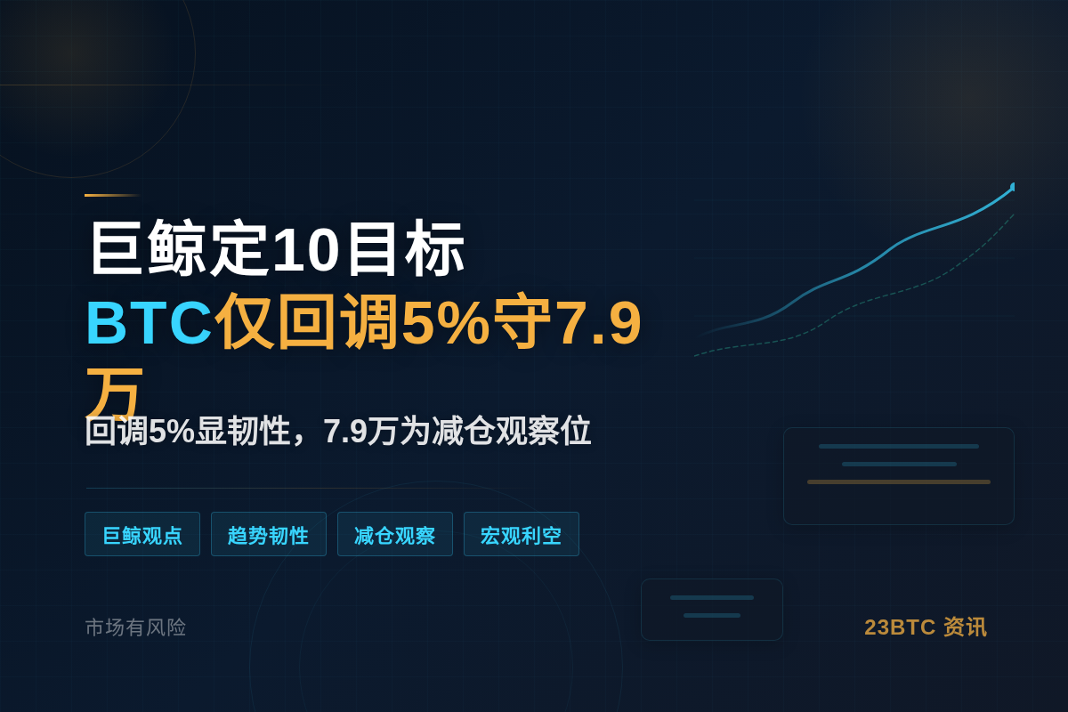 巨鲸定10目标，BTC仅回调5%守7.9万